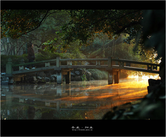 ���{����-��������