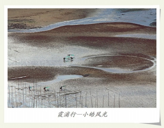 ϼ���С�С���-��Ȼ�羰