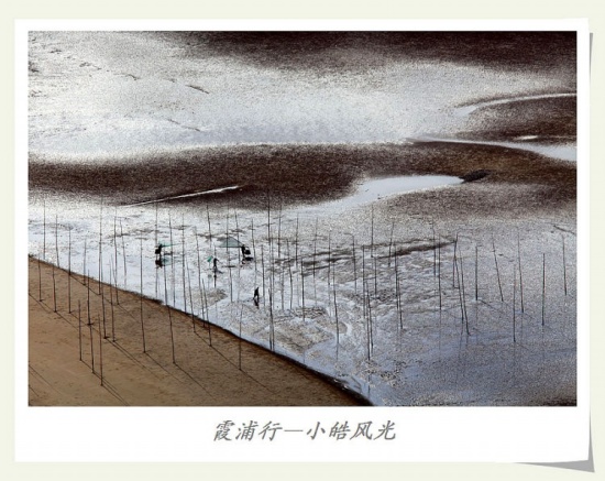 ϼ���С�С���-��Ȼ�羰