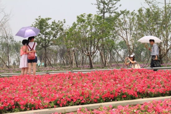 ������԰��-������Ӱ