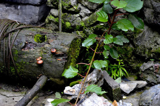 �����Ƕ���֮����ƪ-���ϵ���