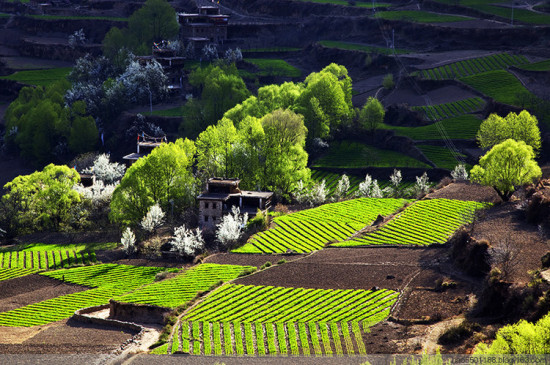 ������·-��Ȼ�羰