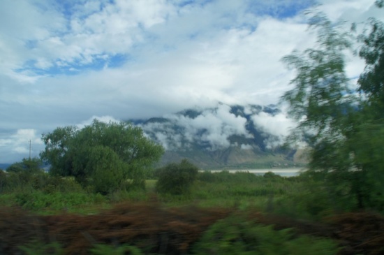 ������֥-��³�ز�����Ͽ�������;-���ϵ���