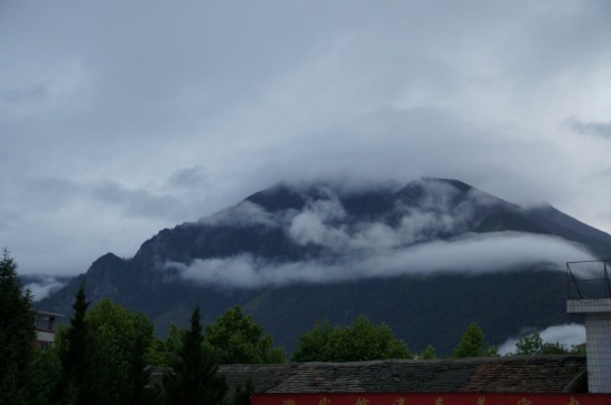 ������֥-��³�ز�����Ͽ�������;-���ϵ���