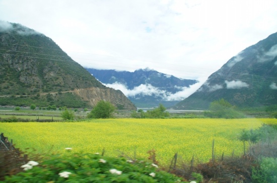 ������֥-��³�ز�����Ͽ�������;-���ϵ���