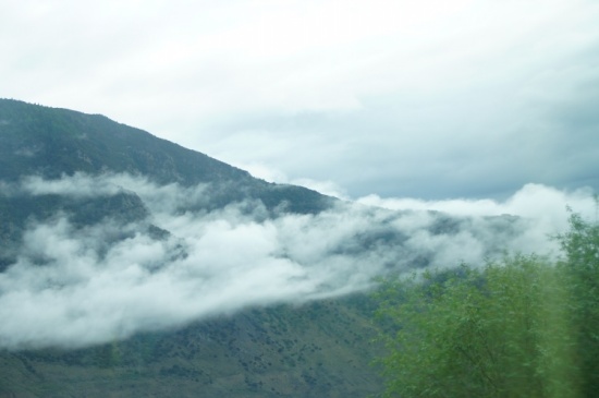 ������֥-��³�ز�����Ͽ�������;-���ϵ���