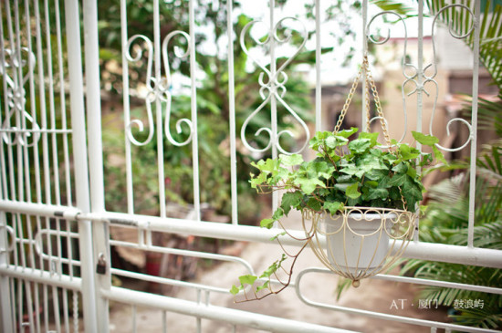 Сƨ������-�����죨�־�ƪ��-������Ӱ