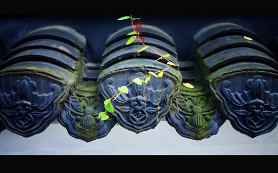 ��խ����-������Ӱ