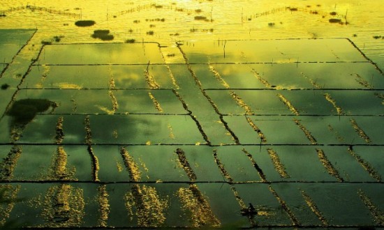 ��̽ϼ��<span class=lxw>[ע: �������ذ��޷������һ�����еĺ��ĵ�λ��������ơ��������28897ƽ�����ǳ��̲Ϳ��� 104��Ķ����С����194����]</span>-��Ȼ�羰