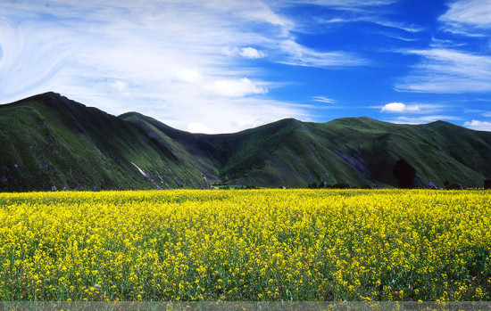 ��������-���ϵ���