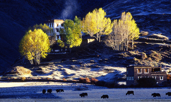 ��������-���ϵ���