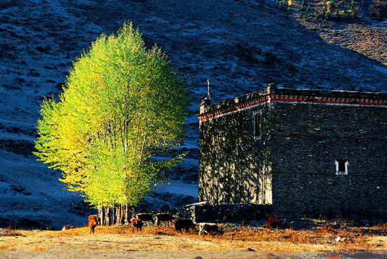 ��������-���ϵ���