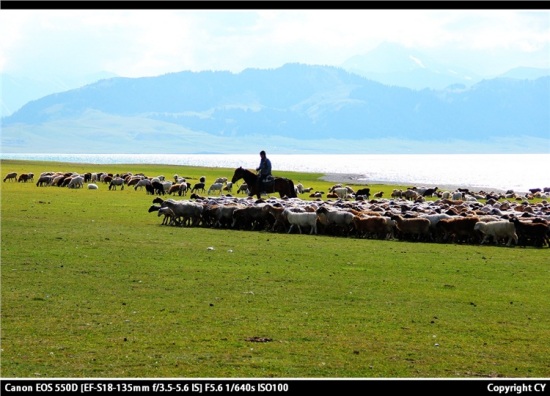 ����ľ�����-��������