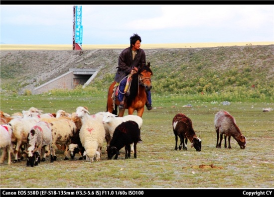 ����ľ�����-��������