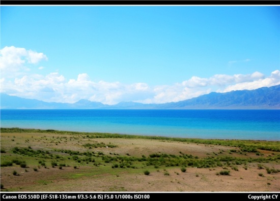 ����ľ�����-��������