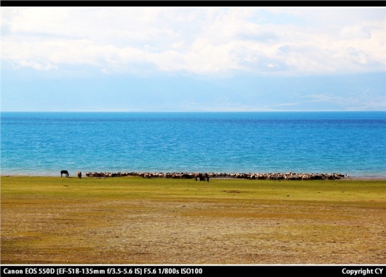 ����ľ�����-��������