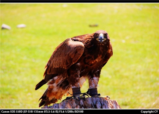 �����ᡰ���в�ԭ��-��Ȼ�羰