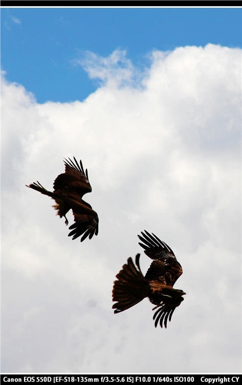 �����ᡰ���в�ԭ��-��Ȼ�羰