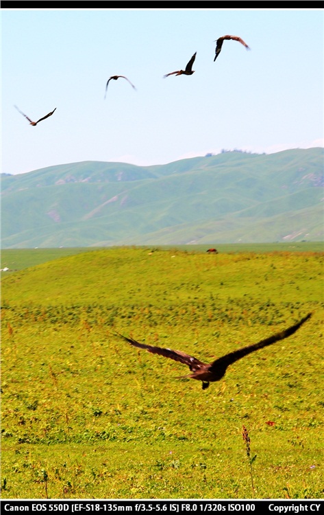 �����ᡰ���в�ԭ��-��Ȼ�羰