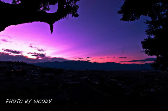 �����ų�-������Ӱ