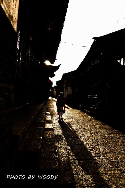 �����ų�-������Ӱ