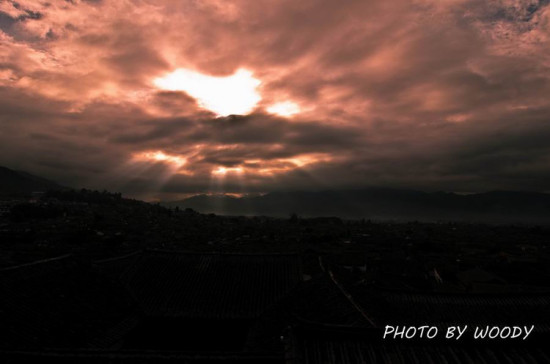 �����ų�-������Ӱ