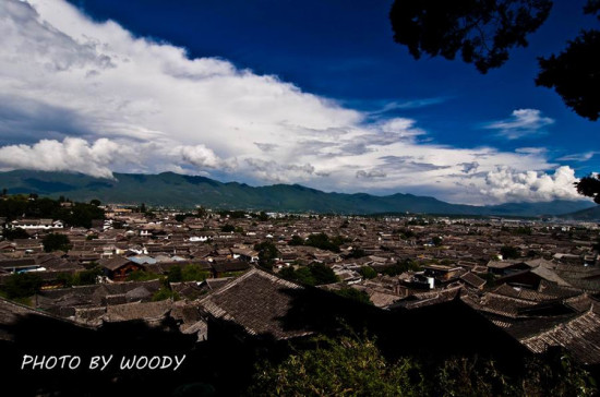 �����ų�-������Ӱ