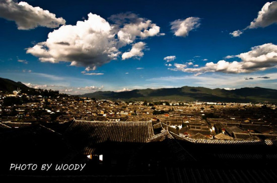 �����ų�-������Ӱ