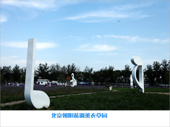 ����޹�²�ׯ԰-ֲ�ﻨ��