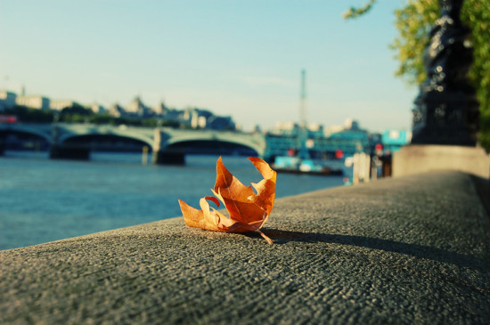 �߹�����Щ�羰-��Ȼ�羰