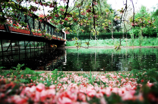 �߹�����Щ�羰-��Ȼ�羰