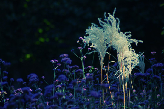 �߹�����Щ�羰-��Ȼ�羰