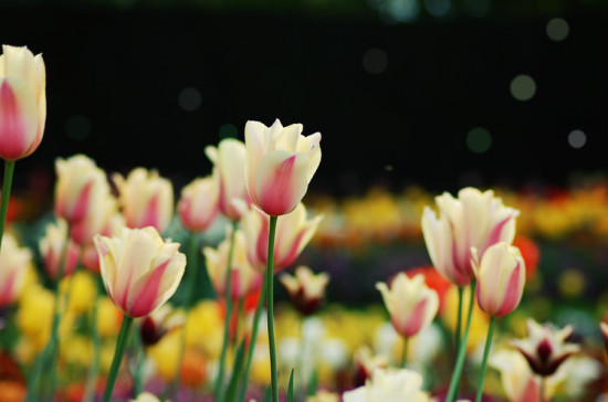 �߹�����Щ�羰-��Ȼ�羰