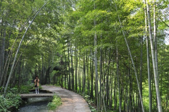 �ؽ�-������-��Ȼ�羰