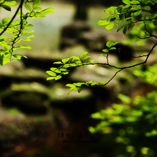 ��ģ�����-��Ȼ�羰