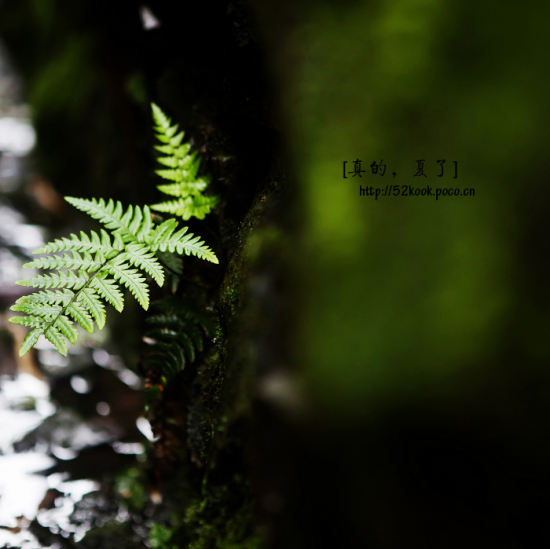 ��ģ�����-��Ȼ�羰