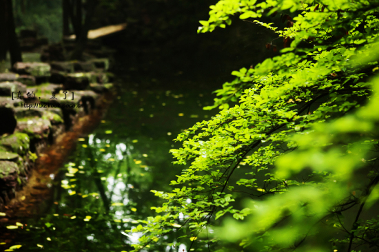 ��ģ�����-��Ȼ�羰