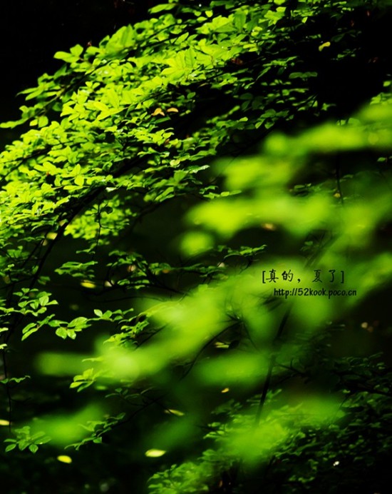 ��ģ�����-��Ȼ�羰