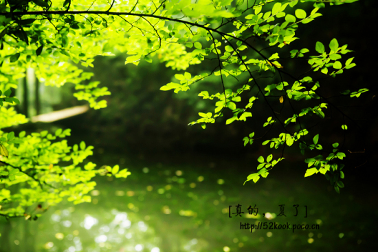 ��ģ�����-��Ȼ�羰