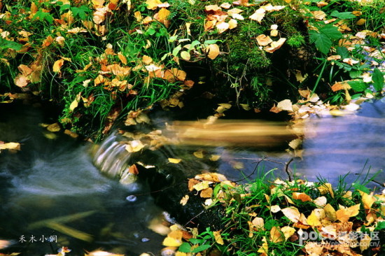 Ҷ��ʱ��-��Ȼ�羰