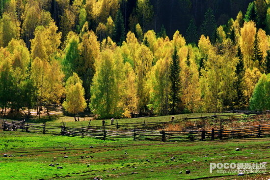 Ҷ��ʱ��-��Ȼ�羰