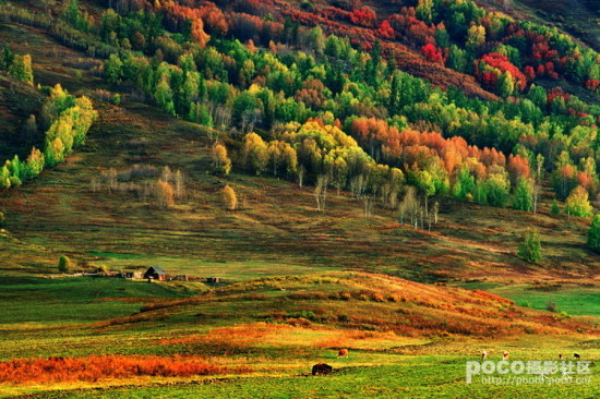 Ҷ��ʱ��-��Ȼ�羰