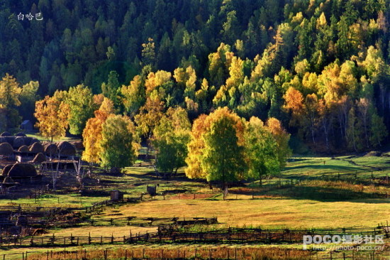 Ҷ��ʱ��-��Ȼ�羰