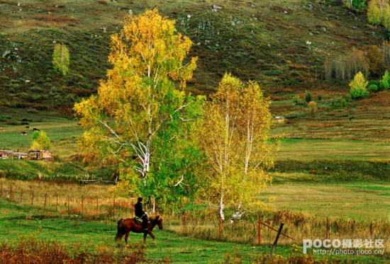 Ҷ��ʱ��-��Ȼ�羰