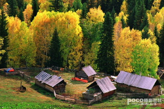 Ҷ��ʱ��-��Ȼ�羰