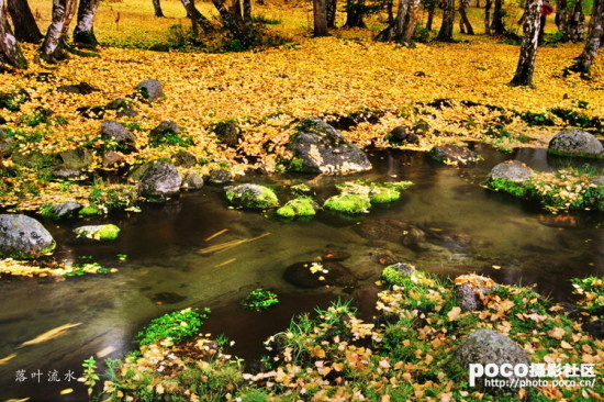 Ҷ��ʱ��-��Ȼ�羰