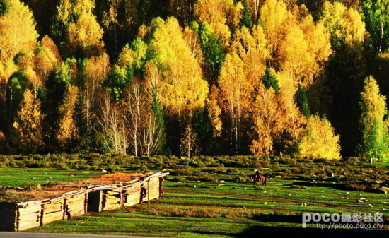 Ҷ��ʱ��-��Ȼ�羰