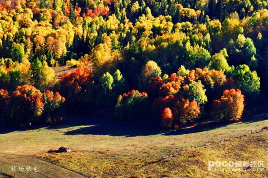 Ҷ��ʱ��-��Ȼ�羰