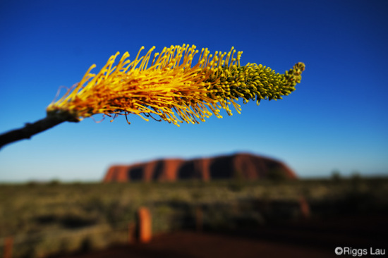 ���������ĺ�����-��Ȼ�羰