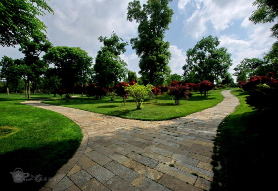 ʯ���̵�-��������-���ϵ���